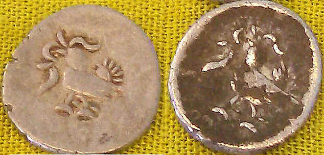 wpeC.jpg (34864 bytes)
