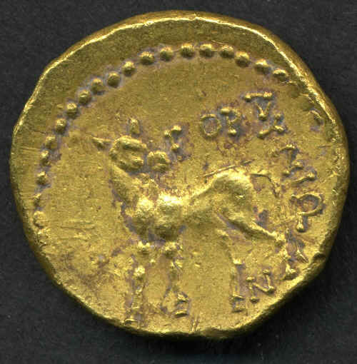 wpe1C.jpg (34372 bytes)