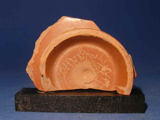 wpe1F.jpg (17294 bytes)