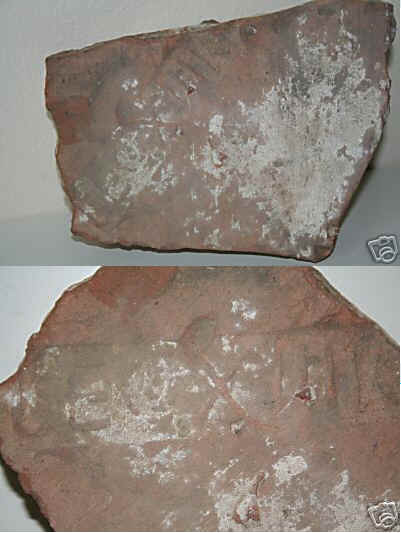 wpe68.jpg (22144 bytes)