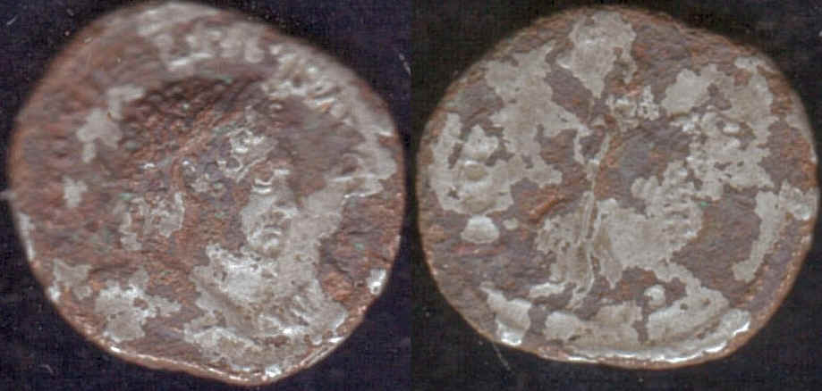 wpe1.jpg (38929 bytes)