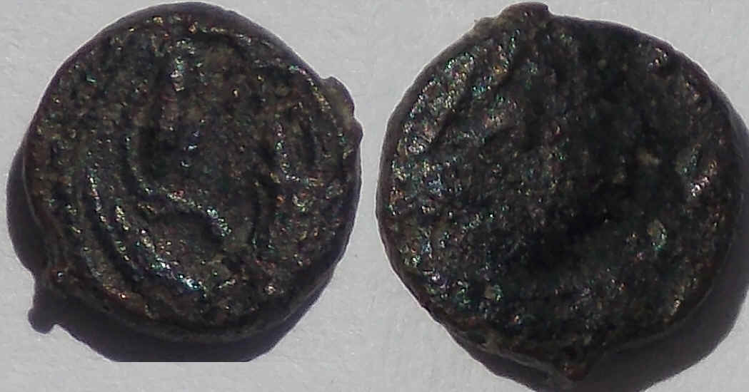 wpe342.jpg (47567 bytes)