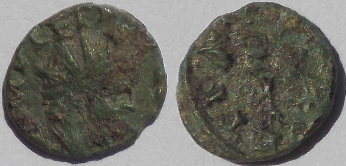 wpe344.jpg (48801 bytes)